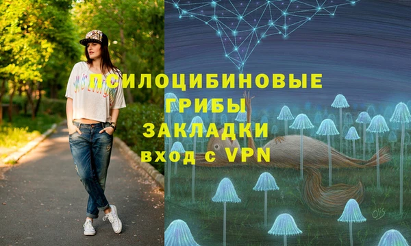 прущие грибы Алексеевка