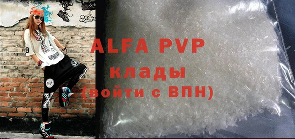 хмурый Алзамай
