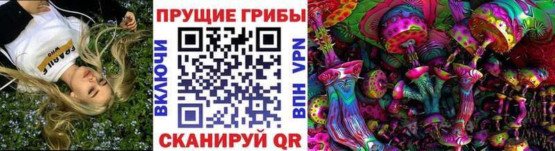 Псилоцибиновые грибы Psilocybe  закладки  Котово 